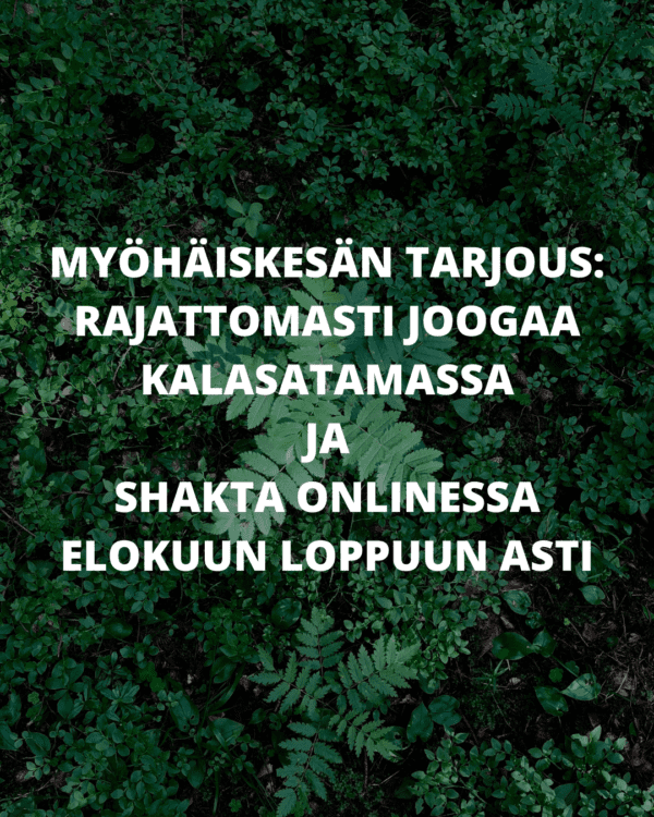 Myöhäiskesän tarjous 2025
