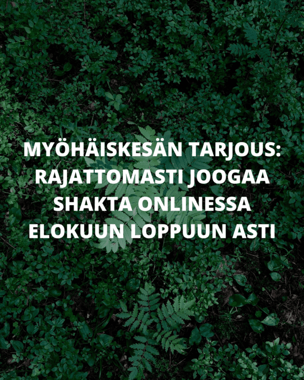 Myöhäiskesän tarjous 2025 Shakta Online