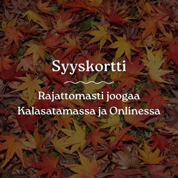 Syyskortti 2025